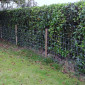 50m Galvanised Stock Fencing 4ft Height (Light) 02