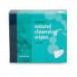 Antiseptic Wipes, Pack of 10