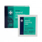 Antiseptic Alcohol Free Wipes (10 Wipes Per Box)