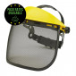 Browguard & Mesh Visor Set Pack Rates