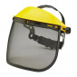 Browguard & Mesh Visor Set