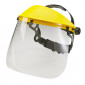 Browguard & Polycarbonate Visor Set