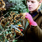 Bulldog Premier Bypass Secateurs - 20mm Cut 01