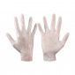 Vinyl Disposable Gloves, Pack of 100