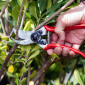 Felco No. 2 Classic Secateurs - 25mm Cut 01