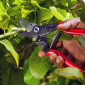 Felco No. 5 Economy Secateurs - 25mm Cut 01