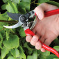Professional Bypass Secateurs - 20mm Cut 02