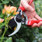 Professional Bypass Secateurs - 20mm Cut 01