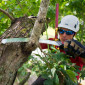 Silky Zubat 330 Pruning Saw with Scabbard 03