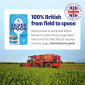 Silver Spoon Granulated Sugar 01