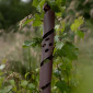 Spiral Tree Guard 01
