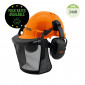 Stihl Forestry Helmet, Mesh Visor & Muff Set - SNR 24dB