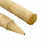 Tree Stake - 3