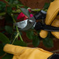 Wilkinson Sword Bypass Secateurs, 20mm Cut 01