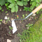 Wilkinson Sword Swoe Style Hoe Stainless c/w Wooden Handle 03