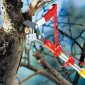 Wolf Anvil Tree Lopper Head 01