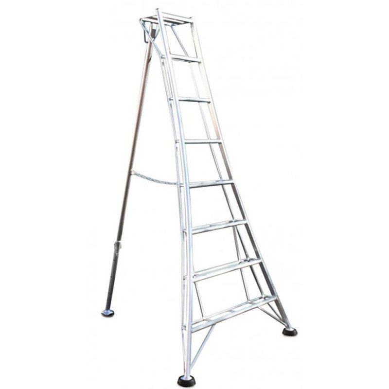 Hendon Platform Tripod Ladder