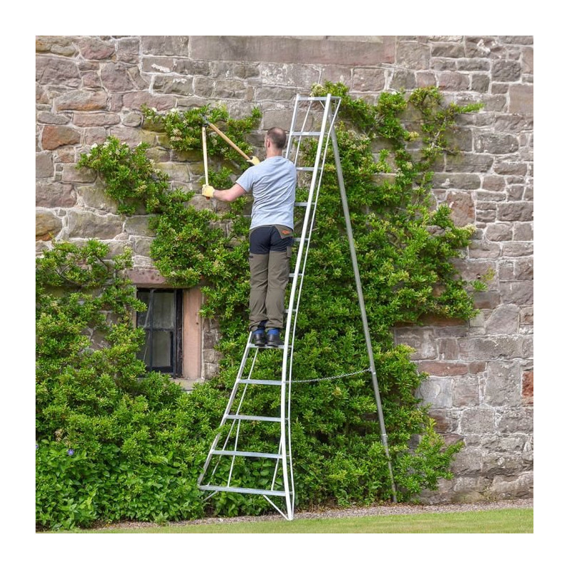 Hendon Standard Tripod Ladder